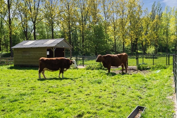 Medium property photo - Samoas 21, 3524 JW Utrecht